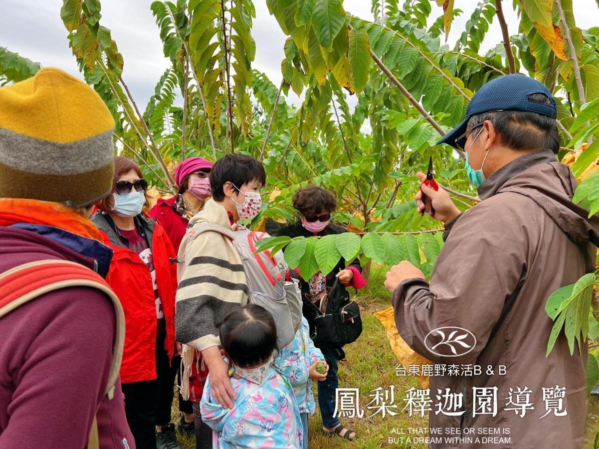 台東鹿野森活 訂房後來電確認 Luye Exterior foto