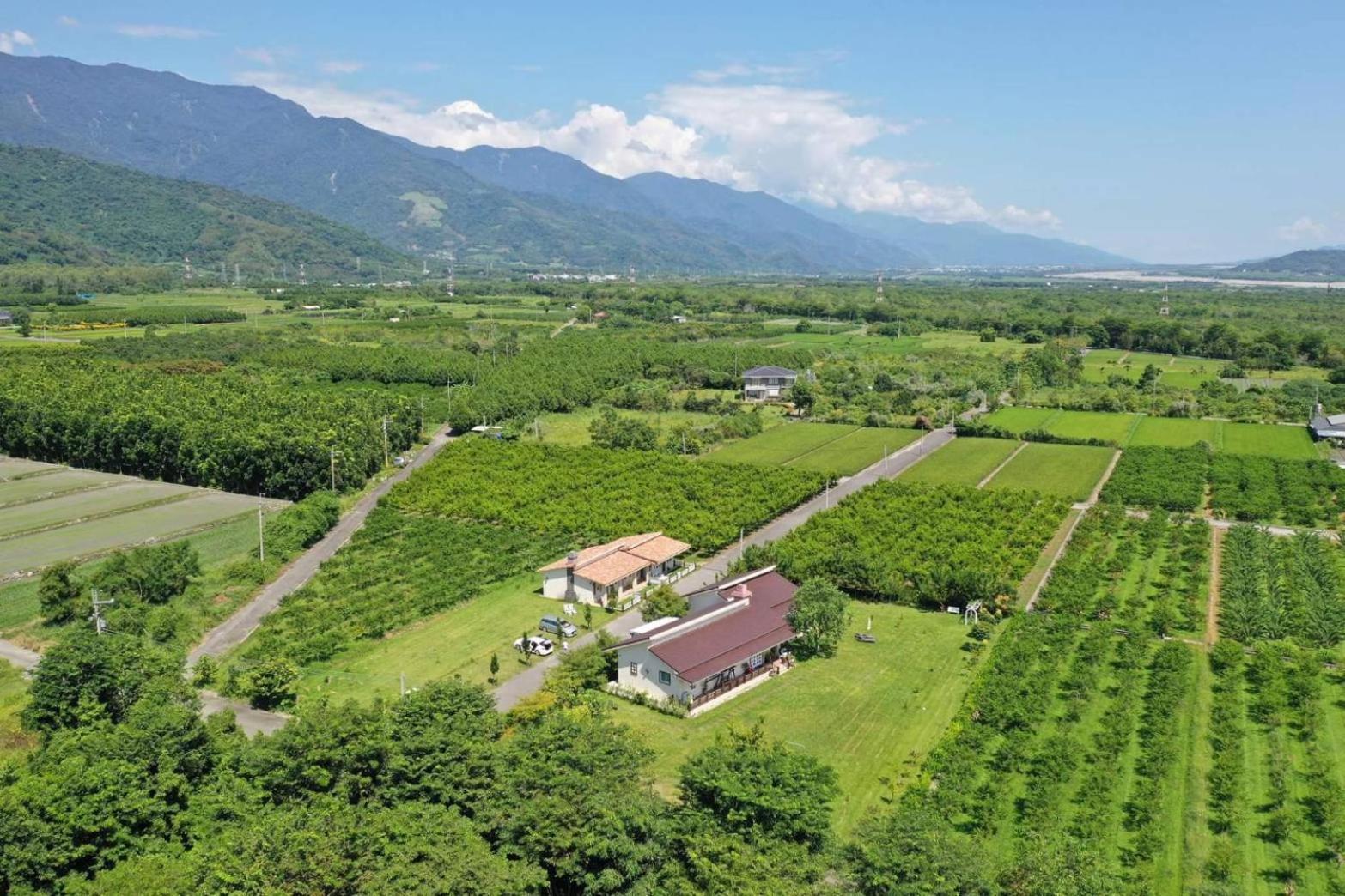 台東鹿野森活 訂房後來電確認 Luye Exterior foto