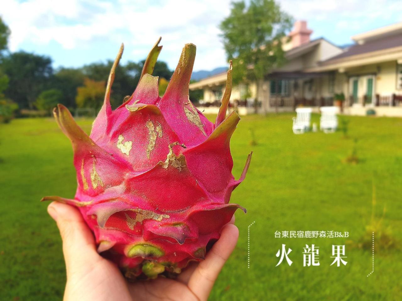 台東鹿野森活 訂房後來電確認 Luye Exterior foto